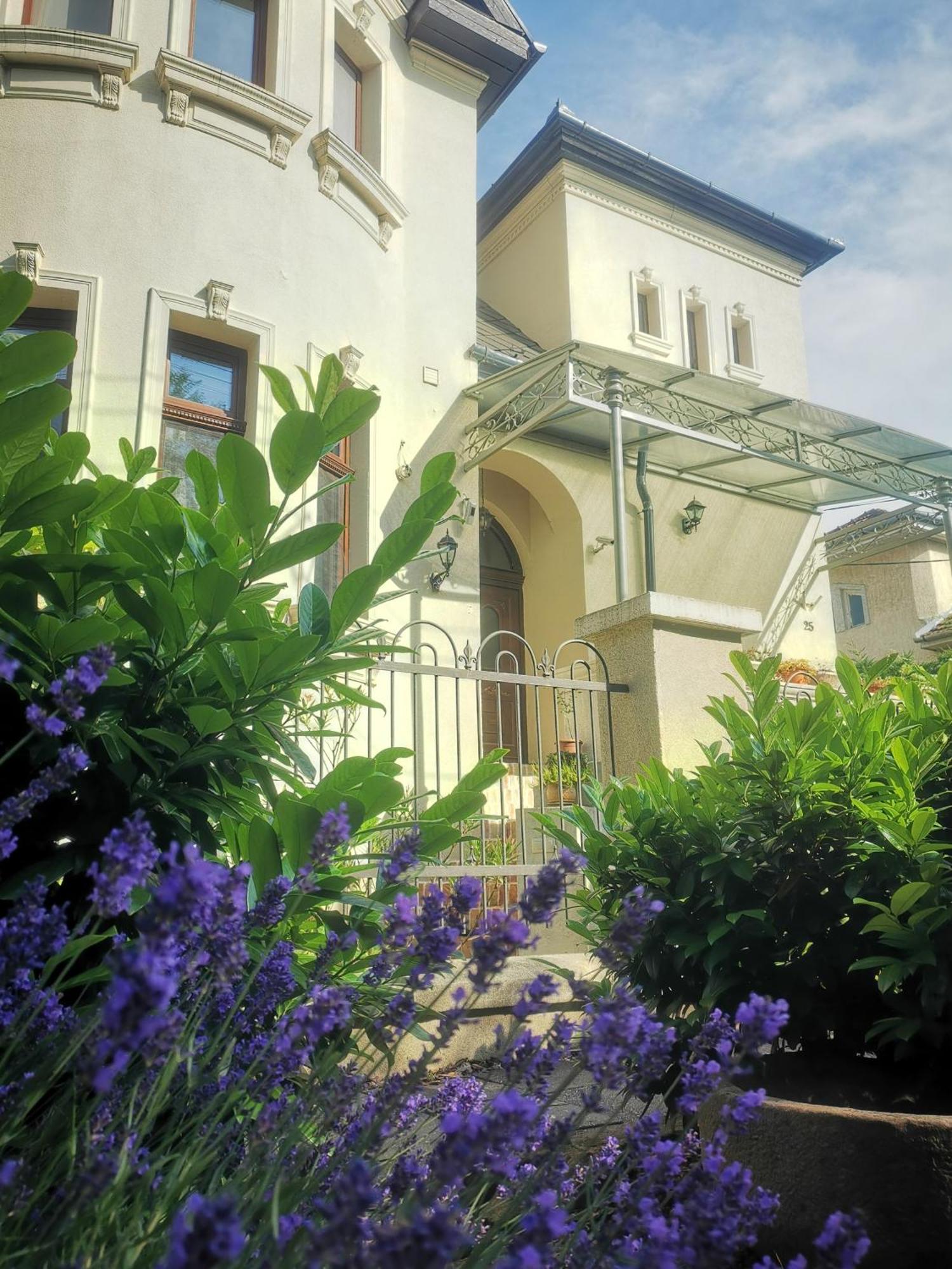 Kuria Apartman With Private Jacuzzi And Pool Budapest Exteriör bild